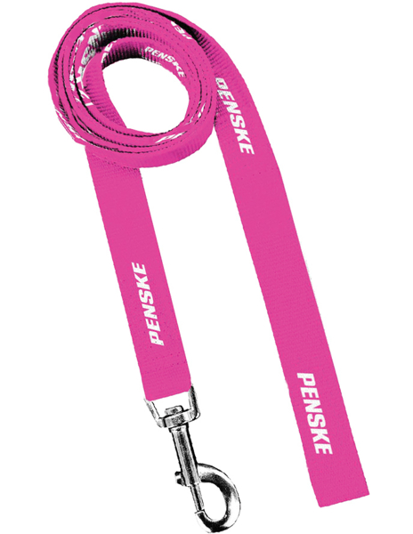 Picture of Dog Leash