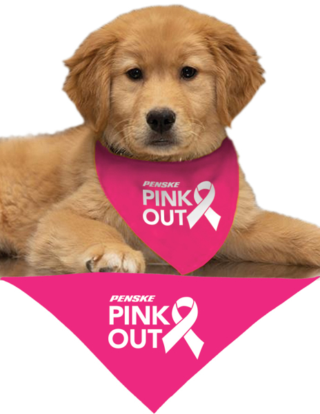 Picture of Pet Bandana Small